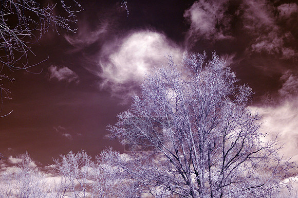 Infrared Tests