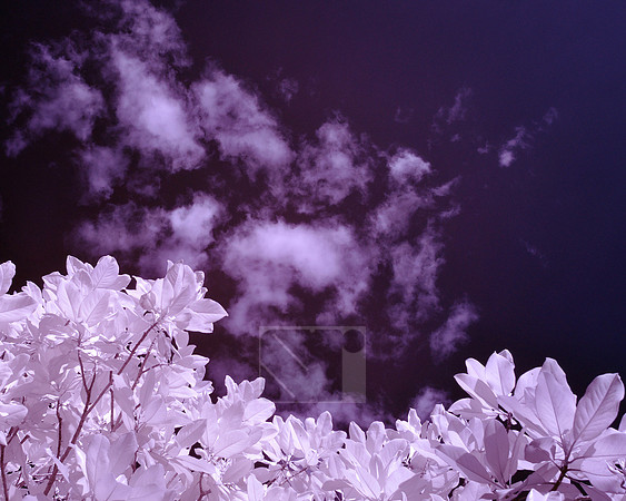 Infrared Tests
