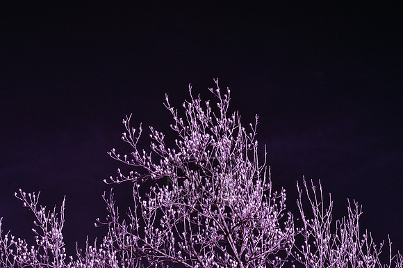 Infrared Tests