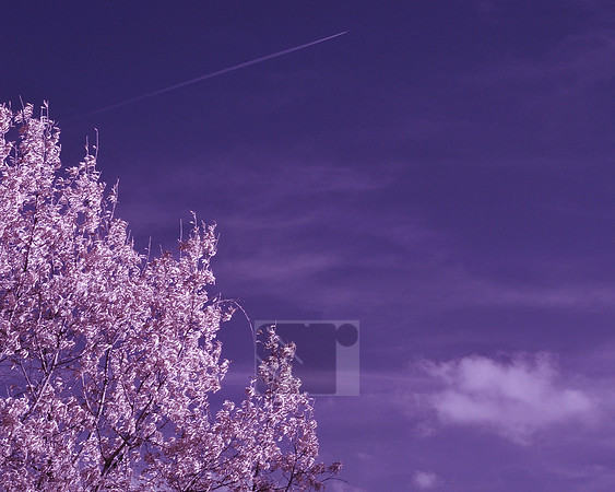 Infrared Tests