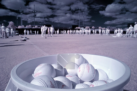 MLB Spring Training: St. Louis Cardinals