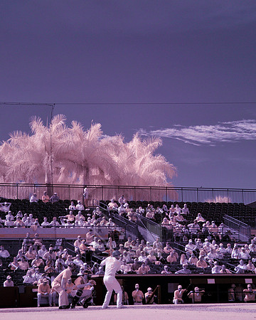 MLB Spring Training: Florida Marlins at St. Louis Cardinals