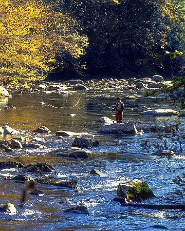 Smokies 4