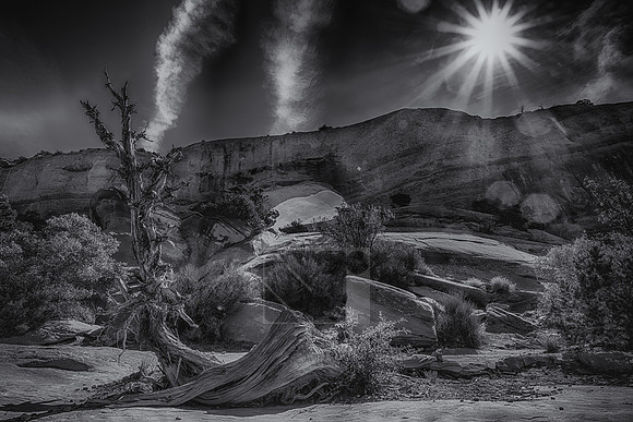 _SR77487_HDR_B&W
