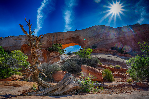 _SR77487_HDR