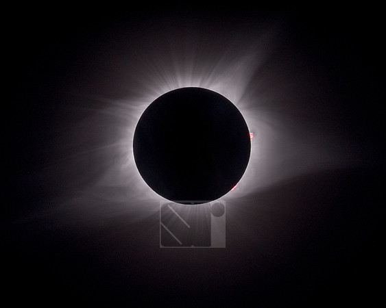 _SRF1497