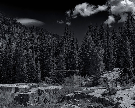 _SRF6386B&W