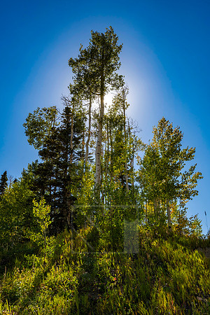 _SR77172-HDR
