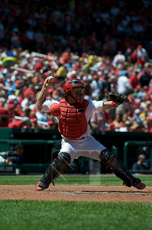 Tampa Bay Rays at St. Louis Cardinals