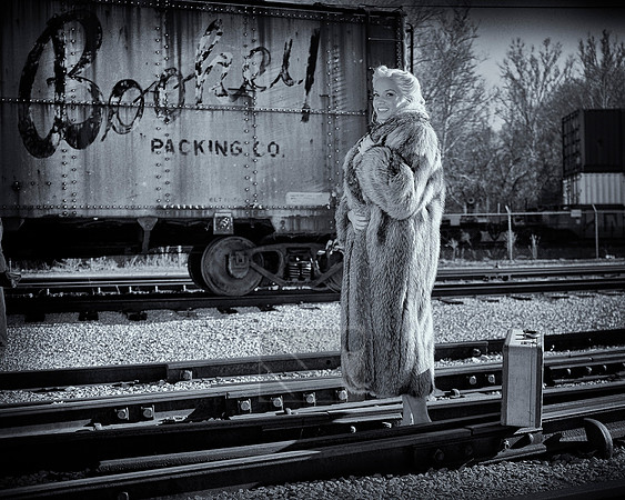 Creve Coeur Camera Museum of Transportation Photowalk