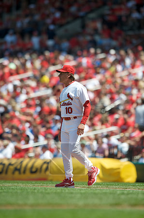 Tampa Bay Rays at St. Louis Cardinals